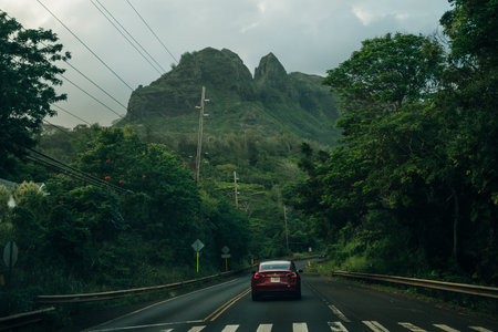 Highway through a lush tropical forest in kauai, hawaii. high quality photoのeditorial素材