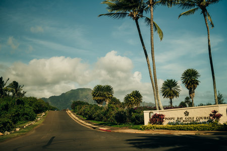 Highway through a lush tropical forest in kauai, hawaii. high quality photoのeditorial素材