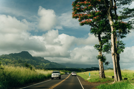 Highway through a lush tropical forest in kauai, hawaii. high quality photoのeditorial素材