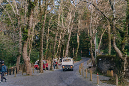 park near The National Palace of Pena, Sintra, Lisboa, Portugal - Dec, 2021. High quality photoのeditorial素材
