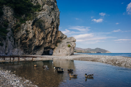 Natural beach in Cirali, Turkey. high quality photo