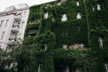 house entirely in ivy, berlin, germany - may 2023. High quality photoのeditorial素材