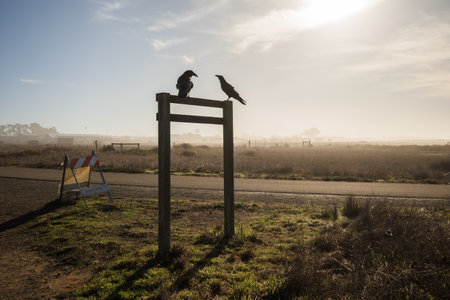 Glass Beach in the Pacific Coast. Fort Bragg, California, USA. high quality photoの写真素材