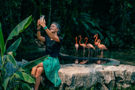 tourist are looking for Group of pink flamingos in the jungle. Mexico - May 2023. High quality photoの写真素材