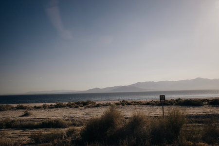 Joshua Tree National Park in California. high quality photoの写真素材