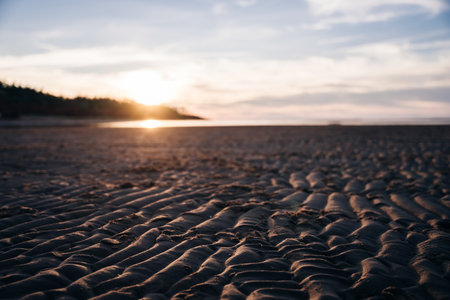 ground level view of desert sand at sunset. high quality photoの写真素材