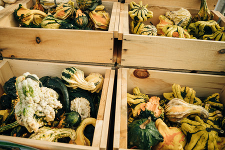 Decorative yellow pumpkins on display at the farmers market. high quality photoの写真素材