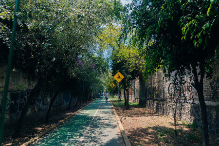cycle path from mexico city to tepoztlan. High quality photo