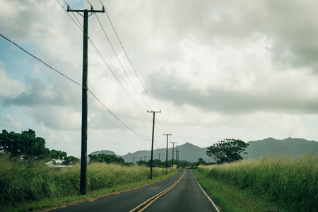 Highway through a lush tropical forest in kauai, hawaii. high quality photo