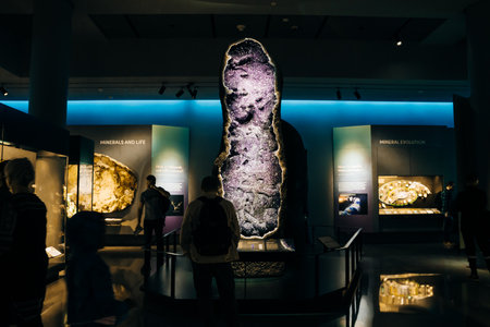 Displays at American Museum of Natural History, New York, USA, August 2022. High quality photoのeditorial素材