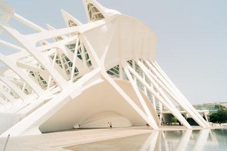 Valencia, Spain - June 2023 Museum of Sciences in the City of Arts and Sciences. High quality photoのeditorial素材