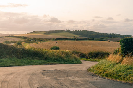 Scenic country road in England. High quality photoの写真素材