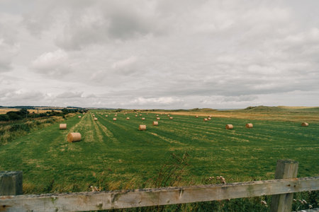 hay in the fields in England. High quality photoの写真素材