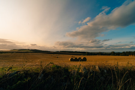 hay in the fields in England. High quality photoの写真素材