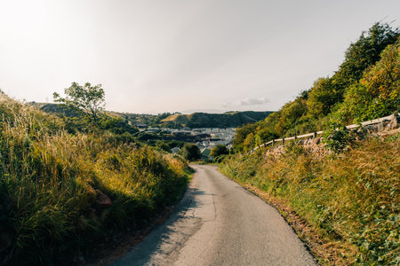 Scenic country road in England. High quality photoの写真素材