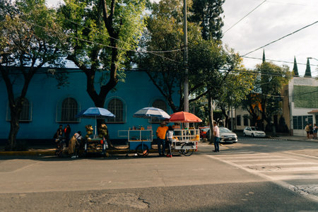 mexico city, mexico - may 12th 2023 street food . High quality photoのeditorial素材