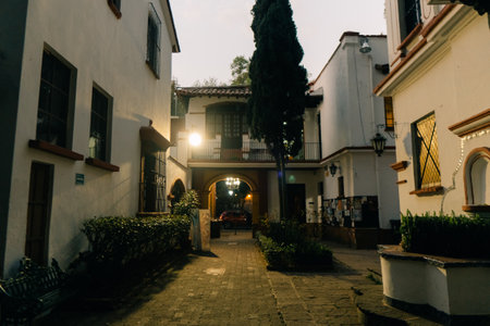 Mexico, mexico city - mat 12th 2023 Casa de Cultura Jesus Reyes Heroles. High quality photo