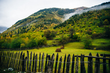 Mestia's captivating landscapes, Georgia's Svaneti region glory. High quality photoの写真素材