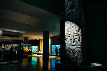 Displays at American Museum of Natural History, New York, USA, August 2nd 2022. High quality photoのeditorial素材