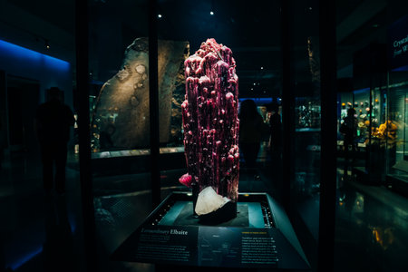 stones in American Museum of Natural History, New York, USA, August 2nd 2022. High quality photoのeditorial素材