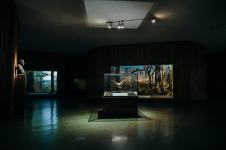 Displays at American Museum of Natural History, New York, USA, August 2nd 2022. High quality photoのeditorial素材