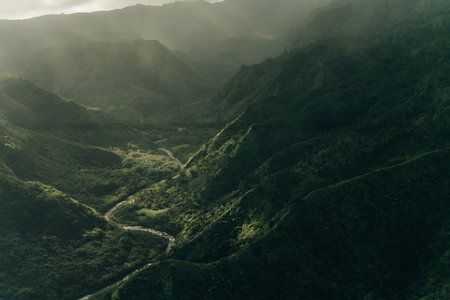 Aerial View of Waimea Canyon State Park, Kauai County, Hawaii, United States. High quality photoの写真素材