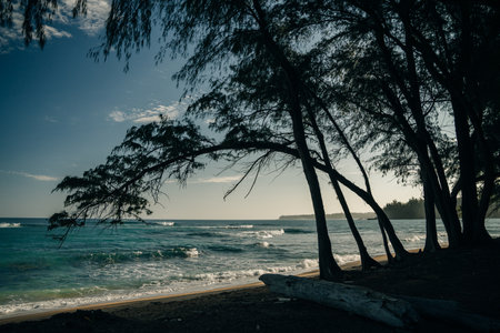 Tropical exotic beach in Haena, Kauai Island, Hawaii. High quality photoの写真素材