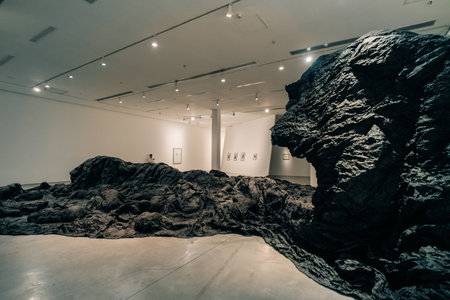 Buenos Aires, Argentina - dec 2th 2023 exhibitions in Buenos Aires Modern Art Museum. High quality photoのeditorial素材