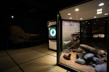 BUENOS AIRES, MARCH 9th 2023 exhibitions in the Museum of natural science. High quality photoのeditorial素材