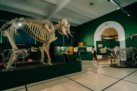 BUENOS AIRES, MARCH 9th 2023 exhibitions in the Museum of natural science. High quality photo