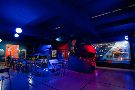 BUENOS AIRES, MARCH 9th 2023 exhibitions in the Museum of natural science. High quality photo