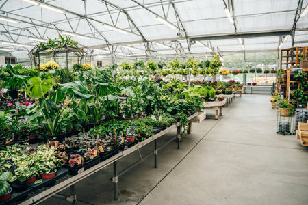 plant store in boston, usa - sep 2th 2023. High quality photoのeditorial素材