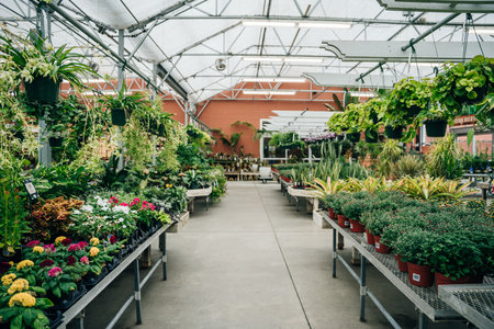 plant store in boston, usa - sep 2th 2023. High quality photoの写真素材