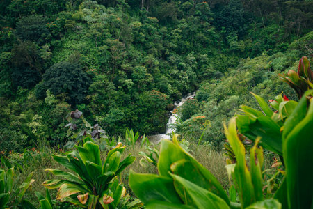 Waterfall on the road to Hana, Maui, Hawai'i. High quality photoの写真素材
