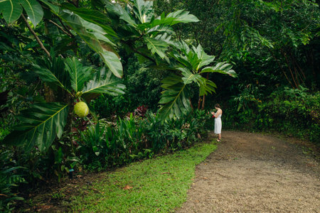 path through a tropical garden in Maui Hawaii. High quality photo