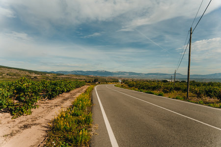 NAVARRE, SPAIN - OCTOBER 2022 pilgrim walking in French Way Camino Frances to Santiago de Compostela. High quality photoの写真素材