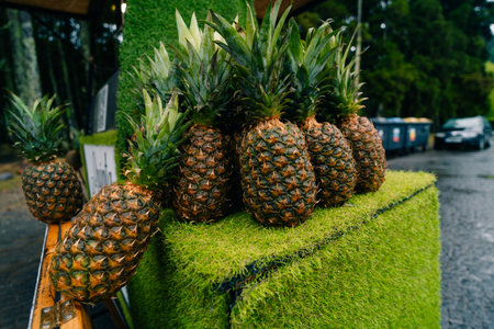 Pineapples lined up ready to be sold, with a field of pineapples growing in the background. High quality photoの写真素材
