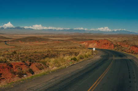 the road through the red desert against a backdrop of snowy mountains. High quality photo