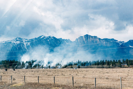 burn forests on the background of mountains. Calgary, Alberta, Canada.の写真素材