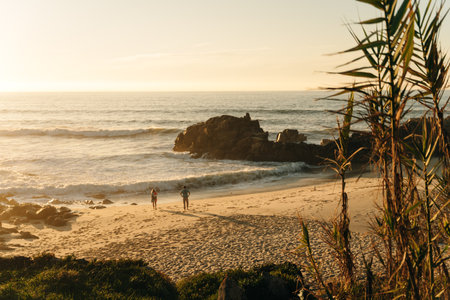 Beautiful spring landscape along the coast. High quality photoの写真素材