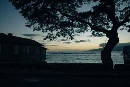 LAHAINA, HI - Dec, 12th 2020 - View of buildings in Lahaina, a former missionary town and capital of Hawaii.の写真素材