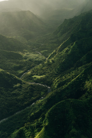 Aerial View of Waimea Canyon State Park, Kauai County, Hawaii, United States. High quality photoの写真素材