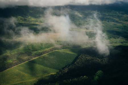 Lihue, Kauai Hawaii , USA - Sep 2022 Aerial view of Nawiliwili Bay and Kalpaki Beach. High quality...