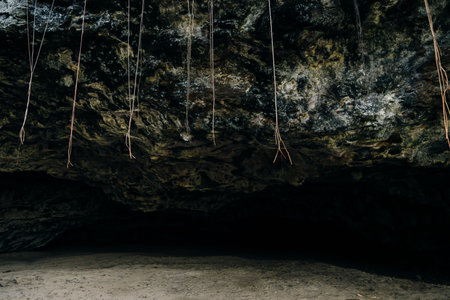 Maniniholo Dry Cave along the Kuhio Highway next to Haena Beach Park. High quality photoの写真素材