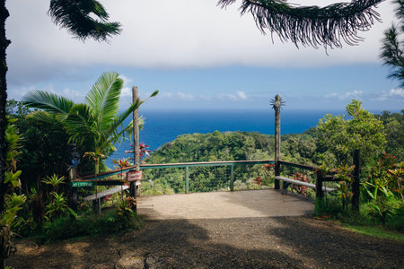 path through a tropical garden in Maui Hawaii. High quality photoの写真素材