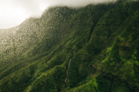 Aerial View of Waimea Canyon State Park, Kauai County, Hawaii, United States. High quality photoの写真素材