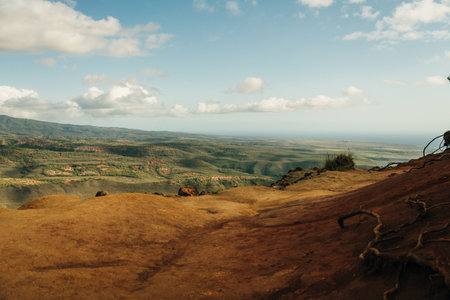 Aerial View of Waimea Canyon State Park, Kauai County, Hawaii, United States. High quality photo
