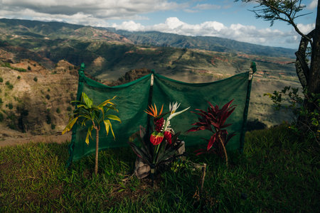 Canyon Lookout is a poplar area for visitors to Kauai's colorful canyon. Kauai, Hawaii - Sep 2022. High quality photoの写真素材