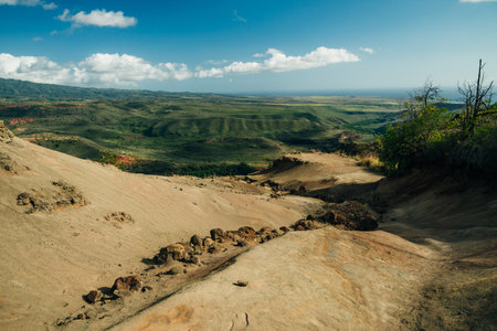 Aerial View of Waimea Canyon State Park, Kauai County, Hawaii, United States. High quality photoの写真素材