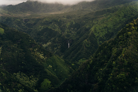 Aerial view of Waimea Canyon Grand Canyon of the Pacific on the western side of Kauai island in Hawaii. High quality photoの写真素材